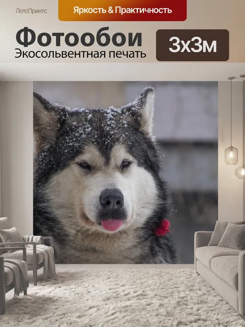 Фотообои Собака