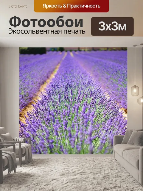 Фотообои Цветы лаванда
