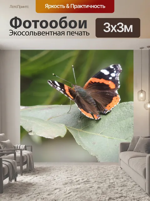 Фотообои Природа