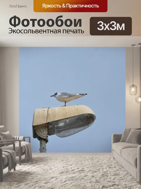 Фотообои Чайка на фонарном столбе