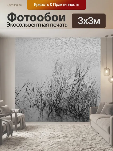 Фотообои Черно-белые ветви в воде