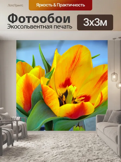 Фотообои Цветы