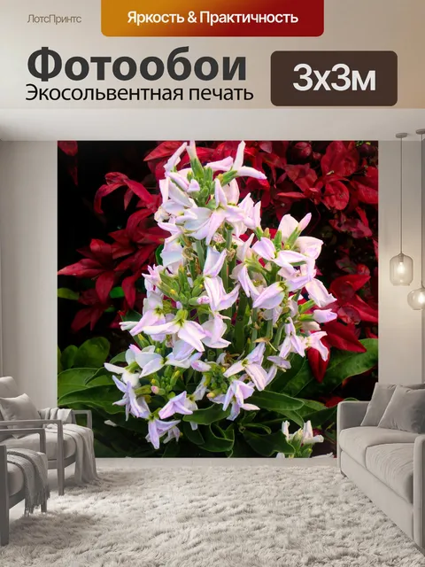 Фотообои Цветы