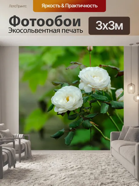 Фотообои Цветы