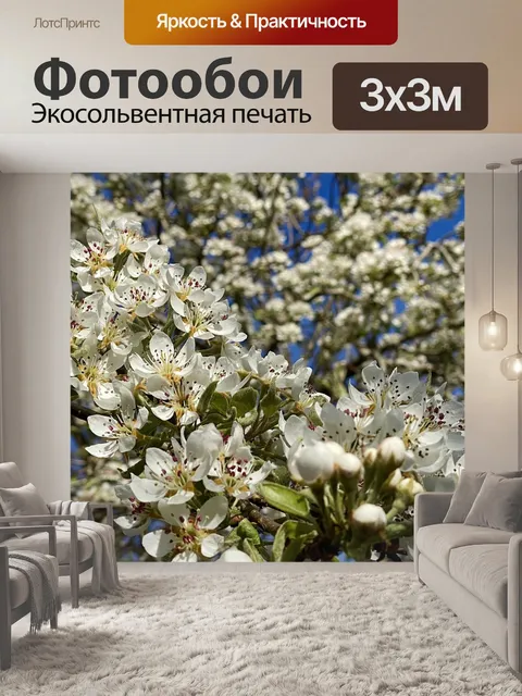 Фотообои Блоссом