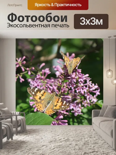Фотообои Бабочки