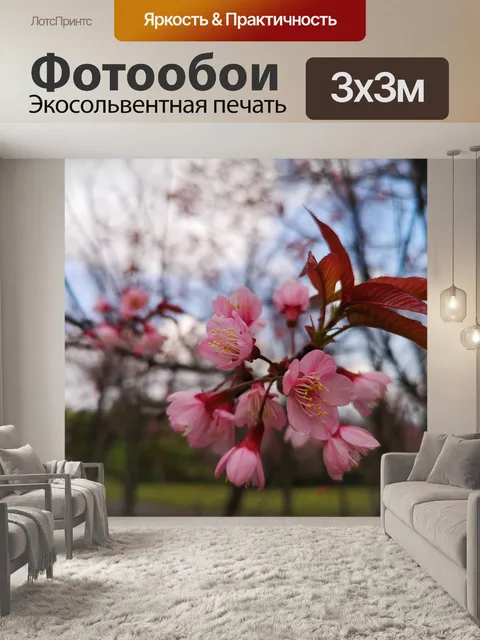 Фотообои Лепестки