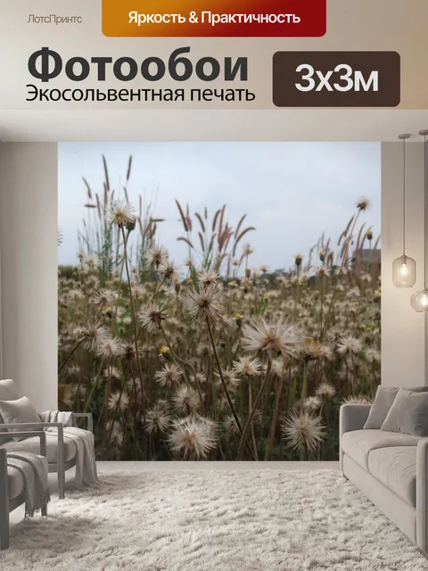 Фотообои Одуванчик