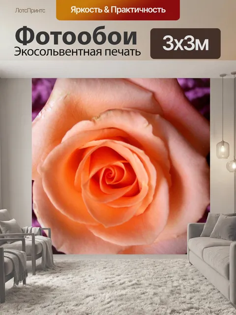 Фотообои Розы