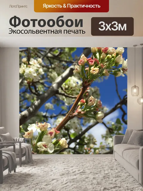 Фотообои Бутоны