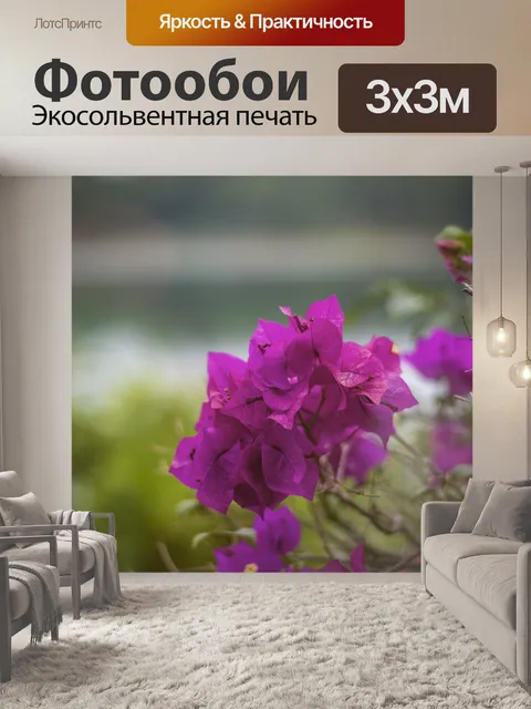 Фотообои Бугенвиллия