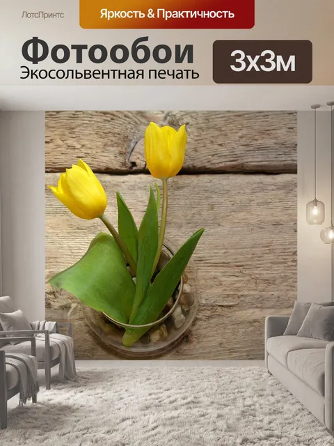 Фотообои Тюльпаны