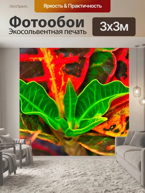 Фотообои Кротон