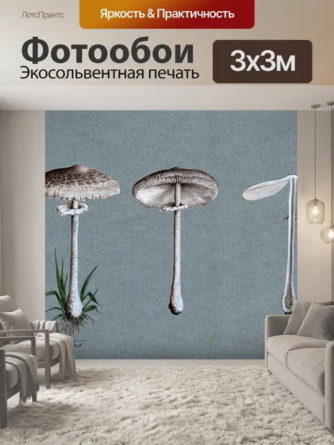 Фотообои Винтажная иллюстрация чемпиона грибов