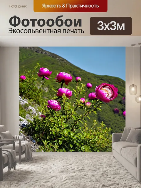 Фотообои пионы, растущие на склоне горы, противостоящем сильному ветру, символизируя силу и красоту