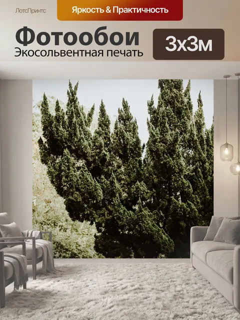 Фотообои Деревья
