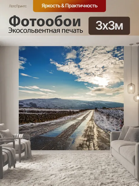 Фотообои Снегоуборочное