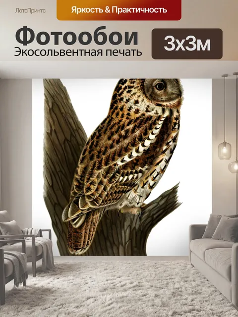 Фотообои Клипарт Owl eagle owl bird