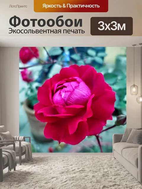 Фотообои Роза