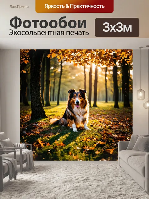 Фотообои в густом лесу, где лучи солнца пробиваются сквозь листву деревьев, спокойно сидит колли, его длинная шерсть…