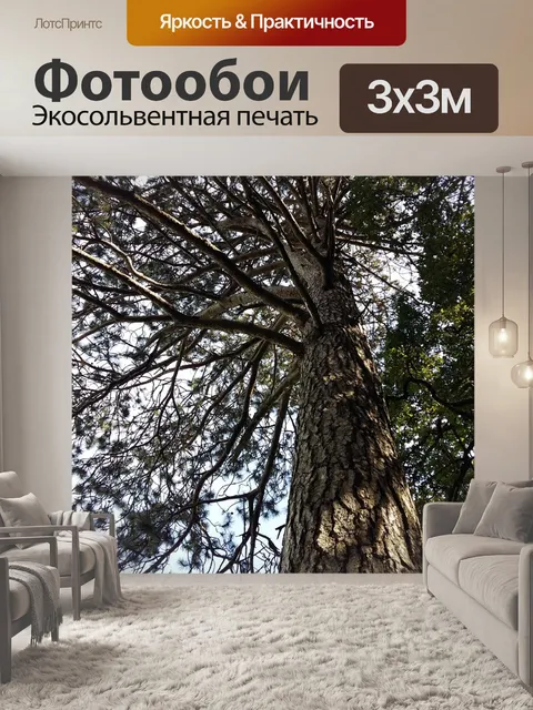Фотообои Дерево