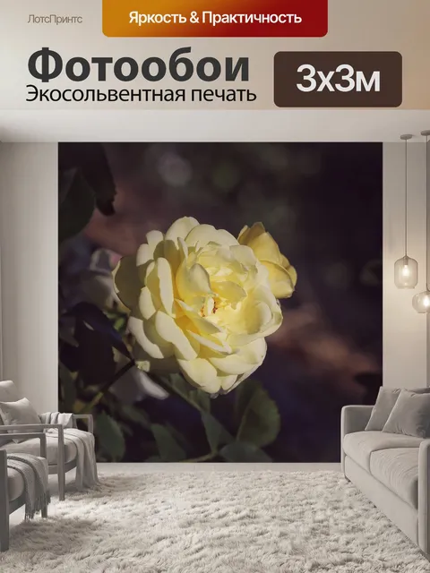 Фотообои Роза