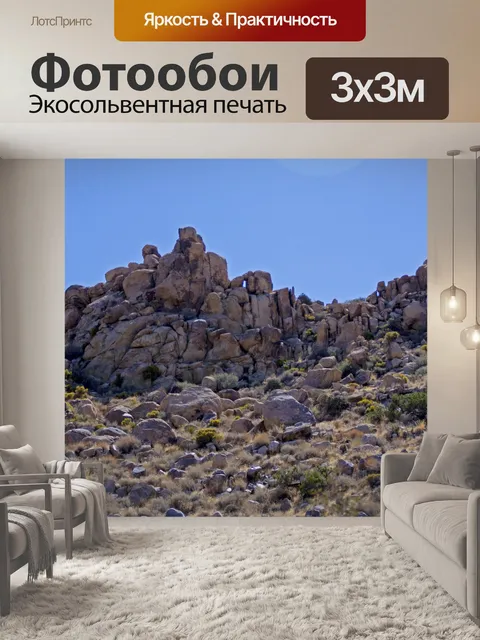 Фотообои Джошуа Три Горы