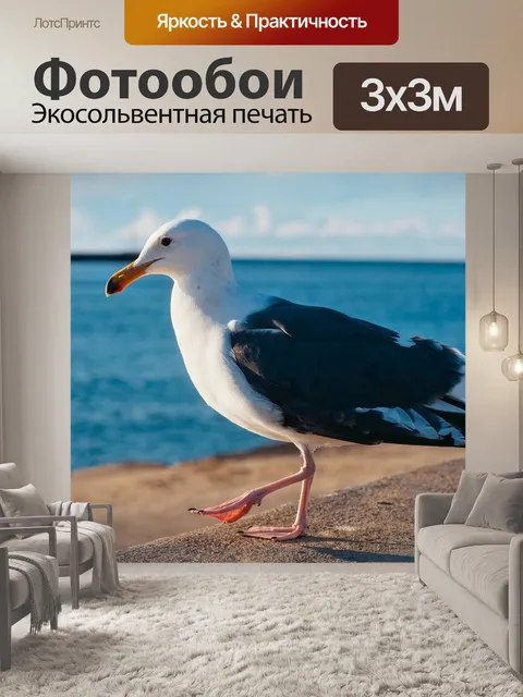 Фотообои Птица