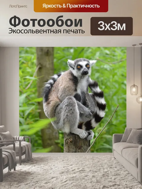 Фотообои Кольцо лемуров 7