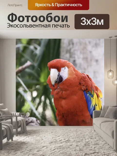 Фотообои Птица