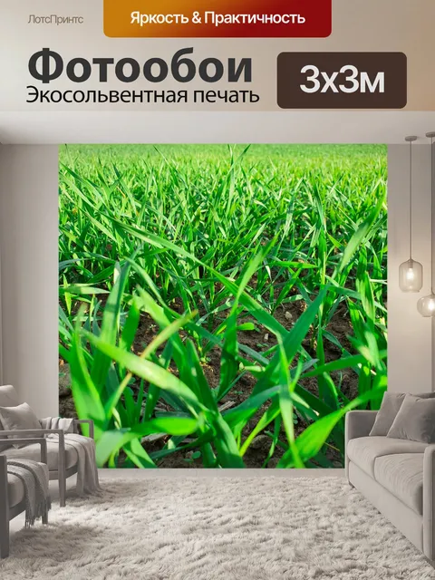 Фотообои Новые растения на поле