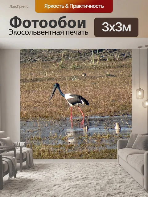 Фотообои Птица