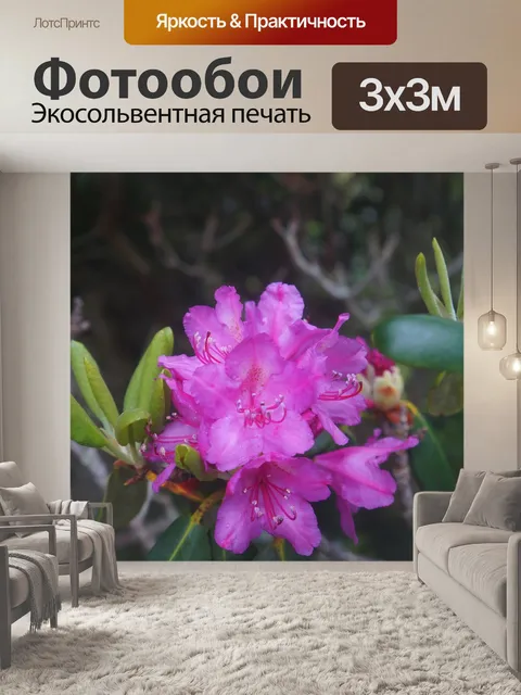 Фотообои Горы роан