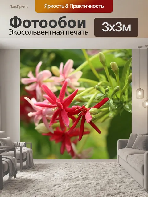 Фотообои Цветы