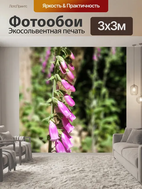 Фотообои Цветок