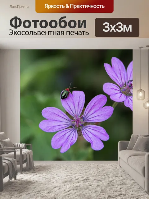 Фотообои Готов к полету