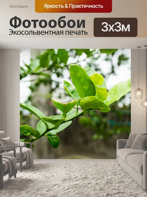 Фотообои Листья лимона