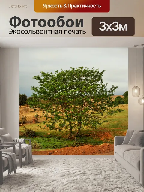 Фотообои Дерево рядом с грунтовой дороге