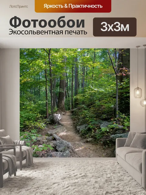 Фотообои Тропа