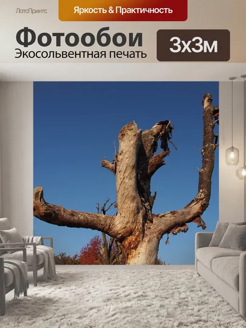 Фотообои Дерево