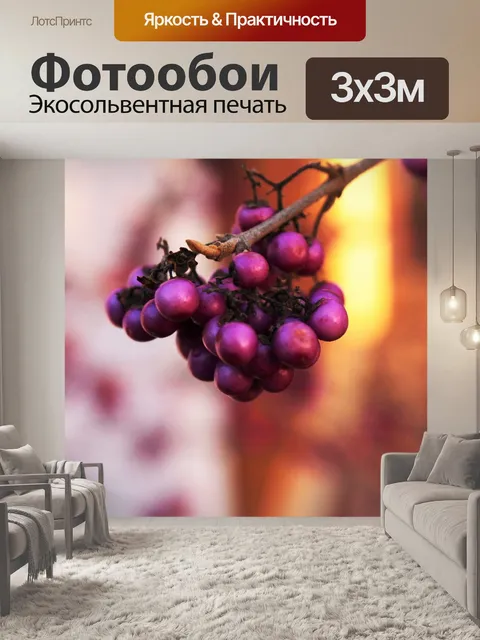 Фотообои Лесные ягоды