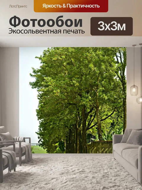 Фотообои Деревья