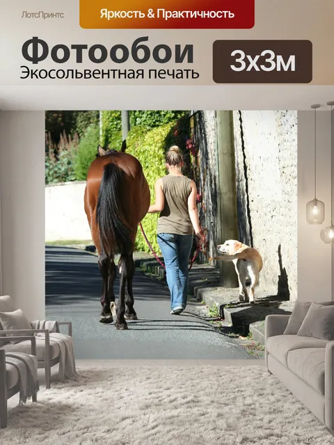 Фотообои Лошадь