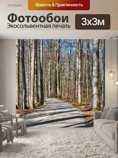 Фотообои Дорога