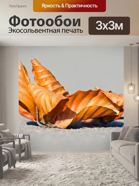Фотообои Листья