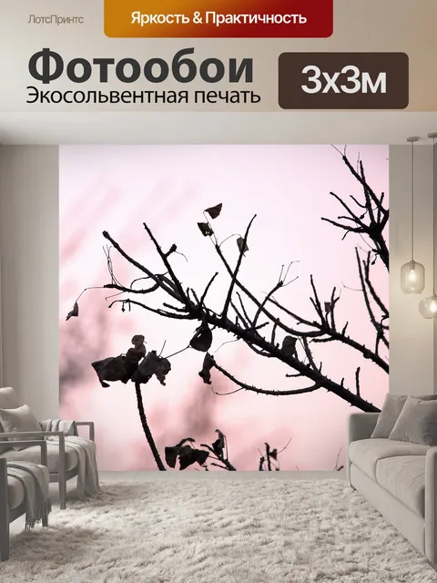 Фотообои тернист коралловый дерево против розовое
