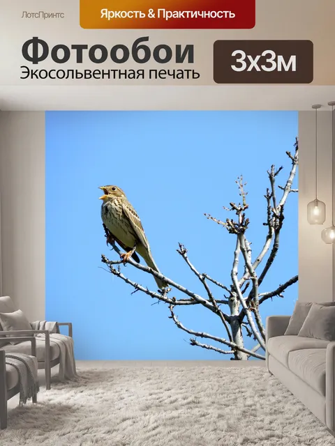 Фотообои Птица