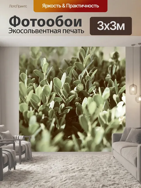 Фотообои Листья