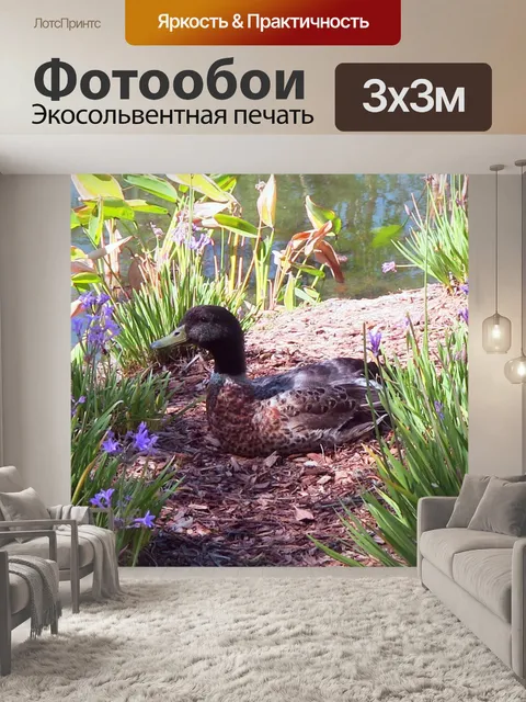 Фотообои Утка по-Лейк