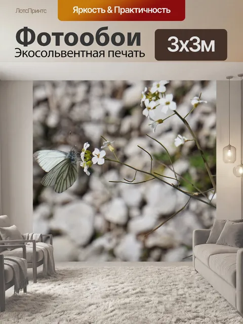 Фотообои Белый